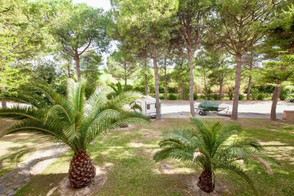 M257 - Marcelli, Bilocale In Residence Con Piscina 外观 照片